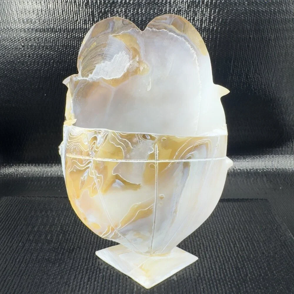 Vintage Mother of Pearl Nautalis Shell Footed Vase‎ Shiny Finish Hand Made Vase